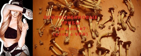 PSILOCYBIN Мегион