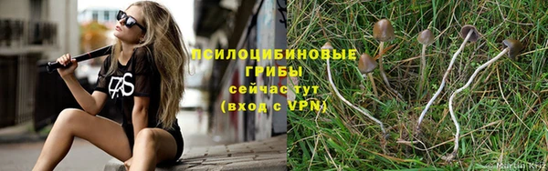 мефедрон Медногорск