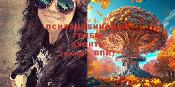 мефедрон Медногорск