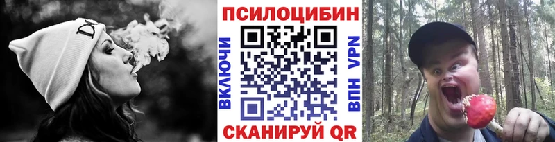 Галлюциногенные грибы Magic Shrooms  цена   Хилок 